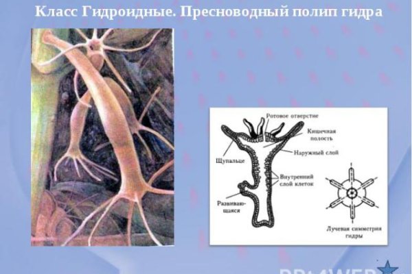 Правильная ссылка на кракен